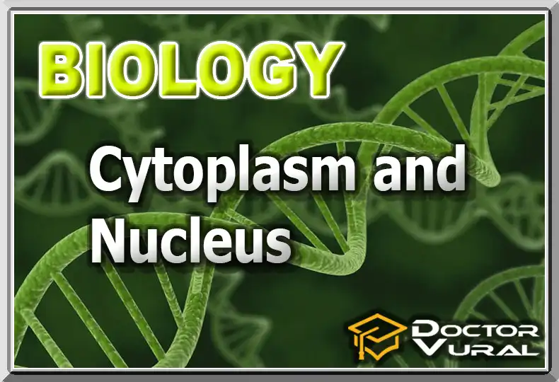 biyoloji_5_en biyoloji_5_en