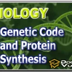 BIOLOGY (Advanced) – Genetic Code and Protein Synthesis