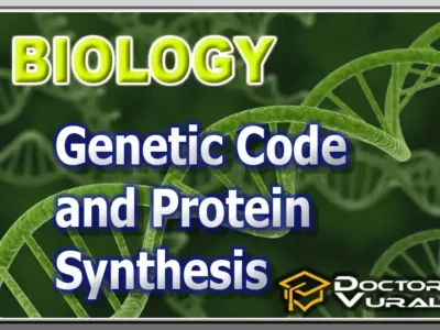 BIOLOGY (Advanced) – Genetic Code and Protein Synthesis